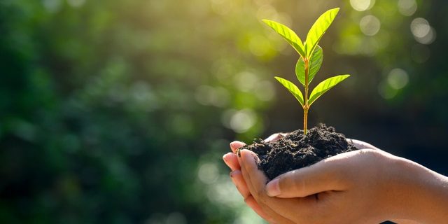 Sustainability